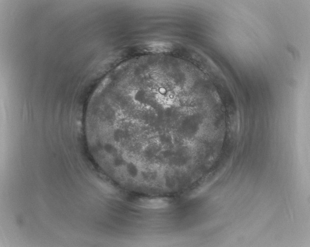 X0000115740553200911252002