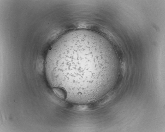 X0000115740554200911252002