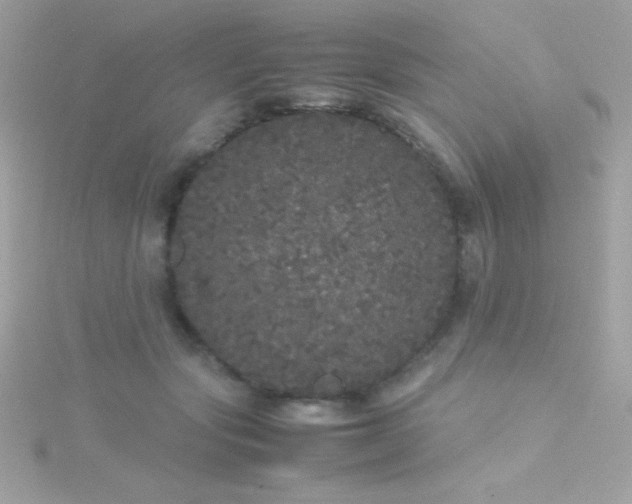 X0000115740557200911252002