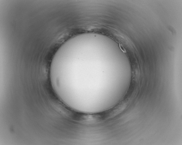 X0000115740558200911252002