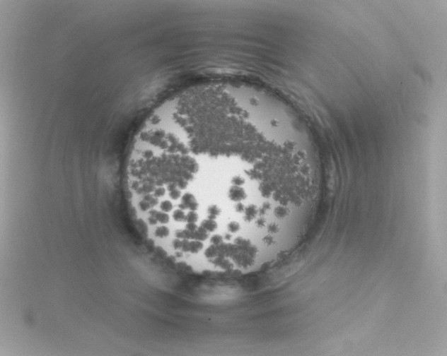 X0000115740559200911252002