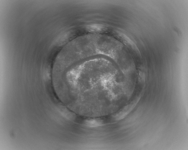 X0000115740561200911252002