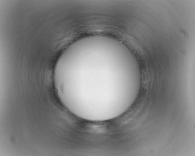 X0000115740563200911252002