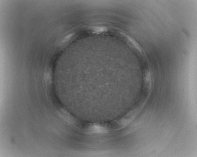 X0000115740565200911252002