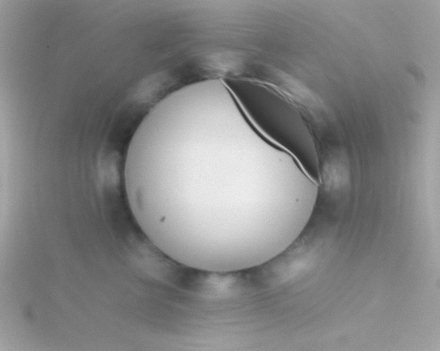 X0000115740570200911252002