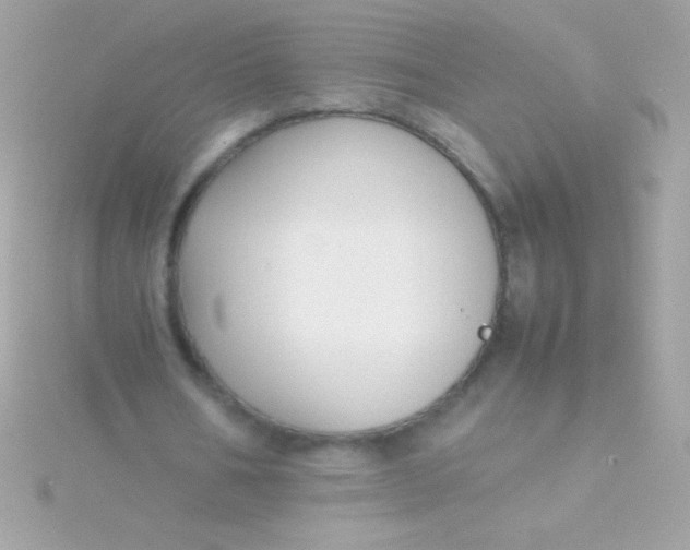 X0000115740578200911252001