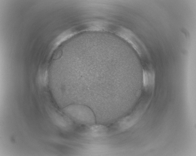 X0000115740579200911252001