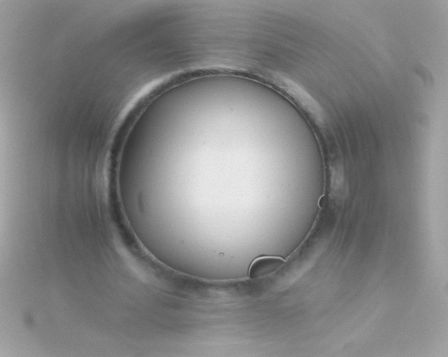 X0000115740580200911252001