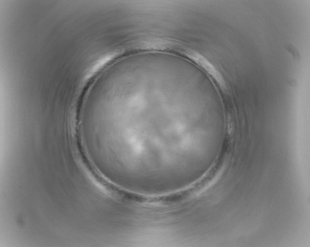 X0000115740581200911252001