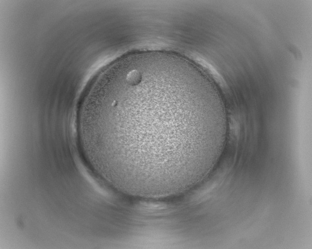 X0000115740582200911252001