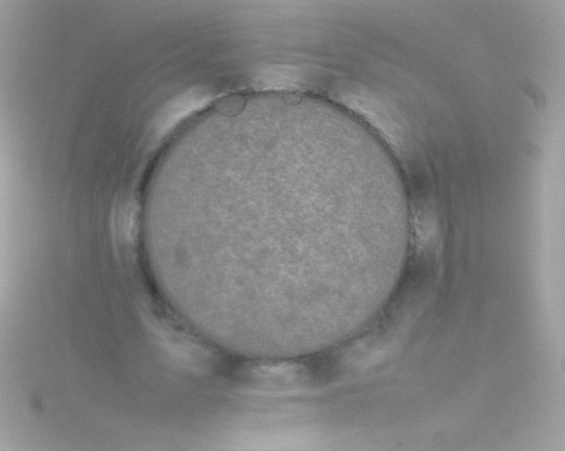 X0000115740583200911252001