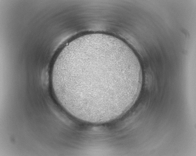 X0000115740584200911252001