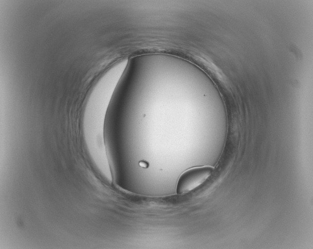 X0000115740585200911252001