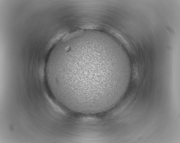 X0000115740586200911252001