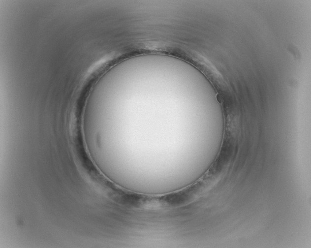 X0000115740587200911252001