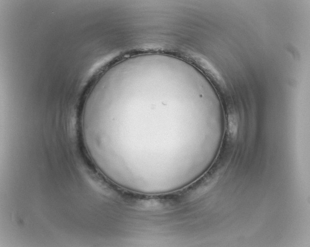 X0000115740588200911252001