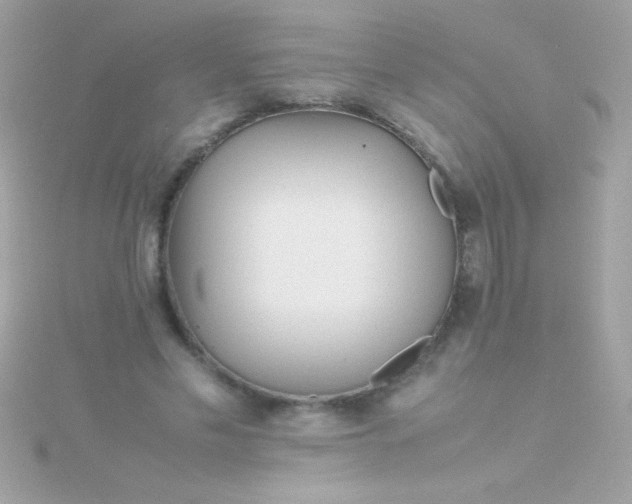 X0000115740589200911252001