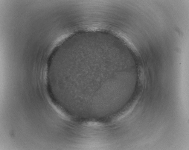 X0000115740590200911252001