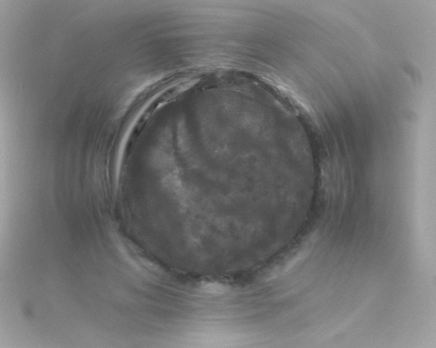 X0000115740592200911252001