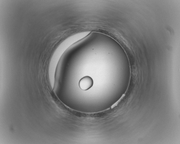 X0000115740593200911252001