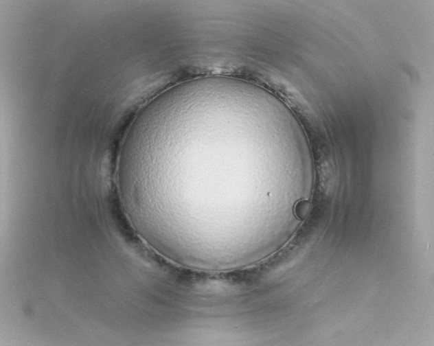 X0000115740594200911252001