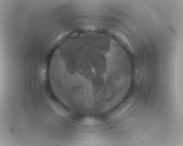 X0000115740596200911252001