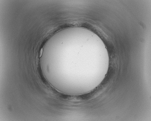 X0000115740597200911252001