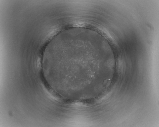 X0000115740598200911252001