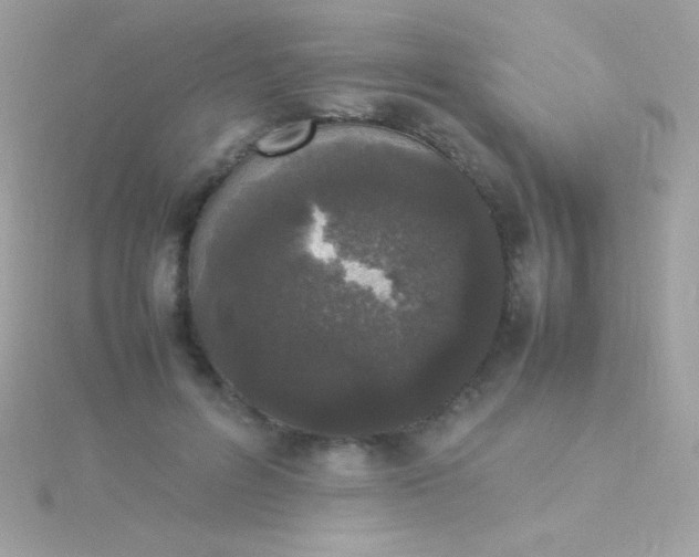 X0000115740600200911252001