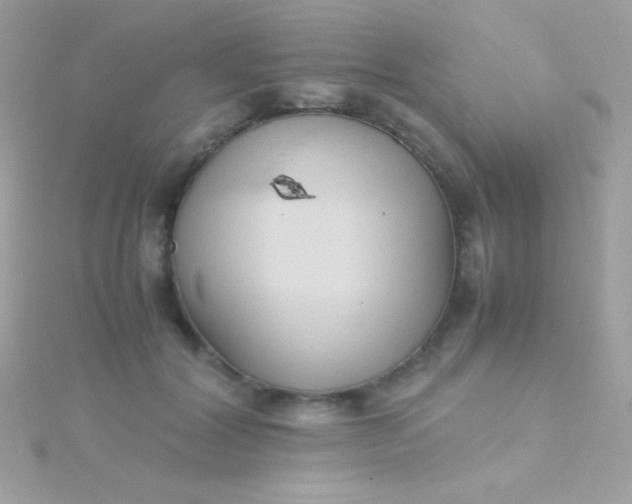 X0000115740604200911252001