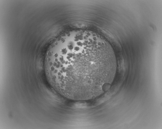 X0000115740606200911252001