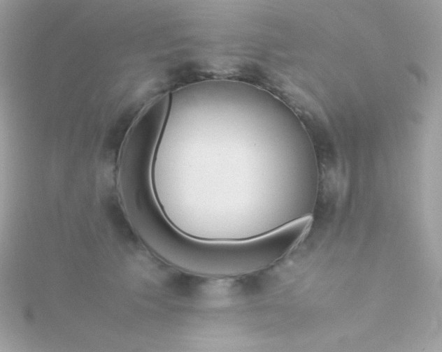 X0000115740609200911252001