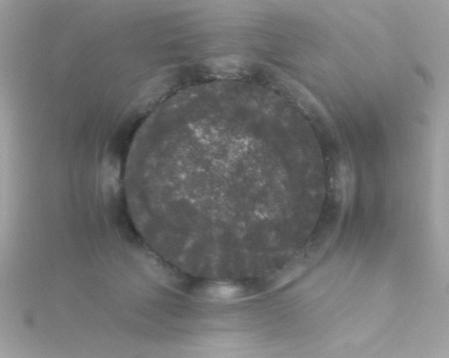 X0000115740610200911252001