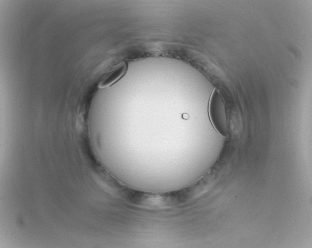 X0000115740611200911252001