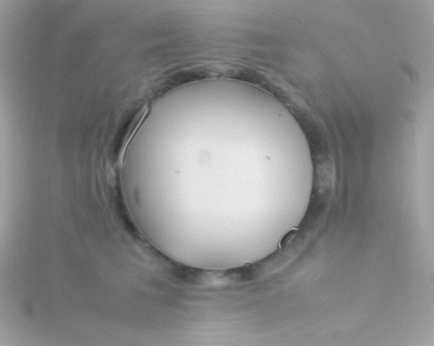 X0000115740613200911252001