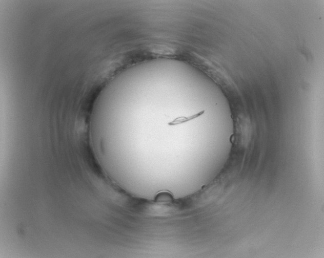 X0000115740614200911252001