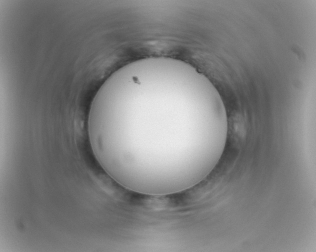 X0000115740615200911252001