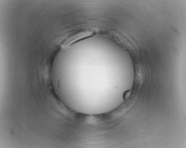 X0000115740616200911252001