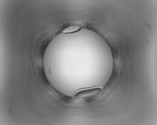 X0000115740617200911252001