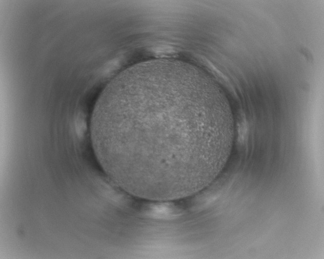 X0000115740618200911252001