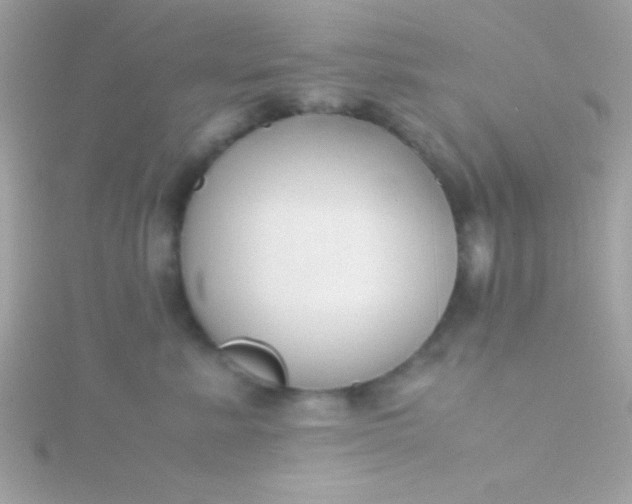 X0000115740619200911252001