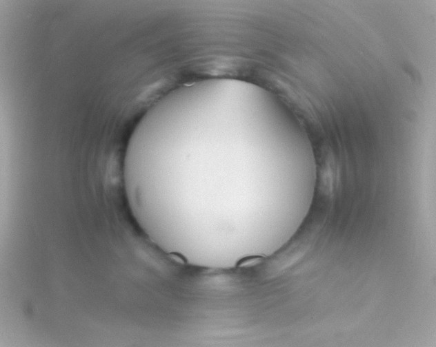 X0000115740620200911252001