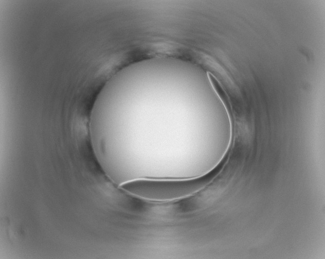 X0000115740621200911252001