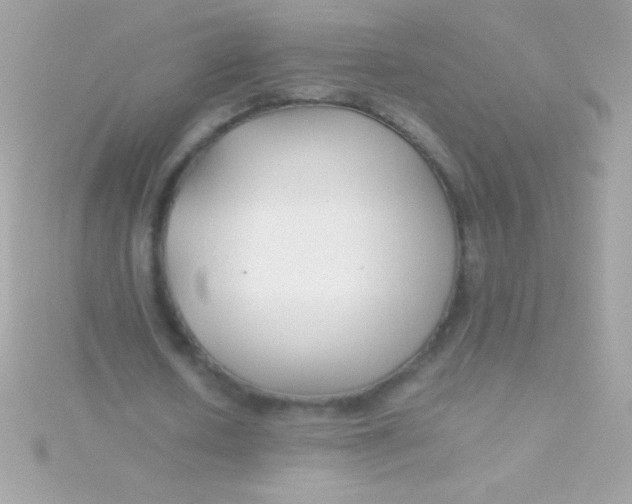 X0000115740626200911252000