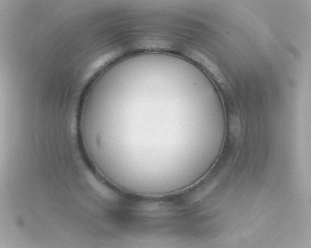 X0000115740629200911252000