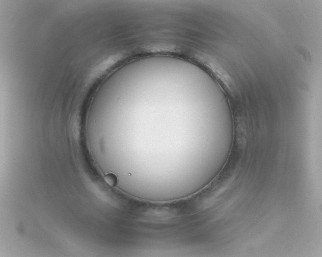 X0000115740631200911252000