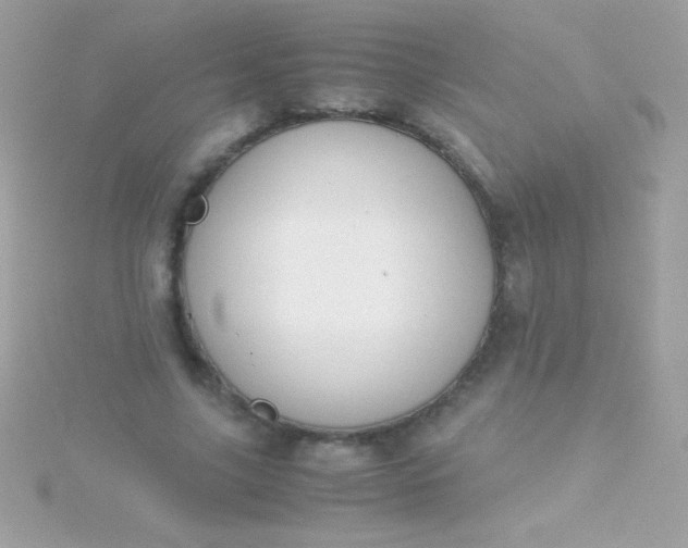 X0000115740635200911252000