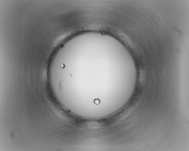 X0000115740636200911252000