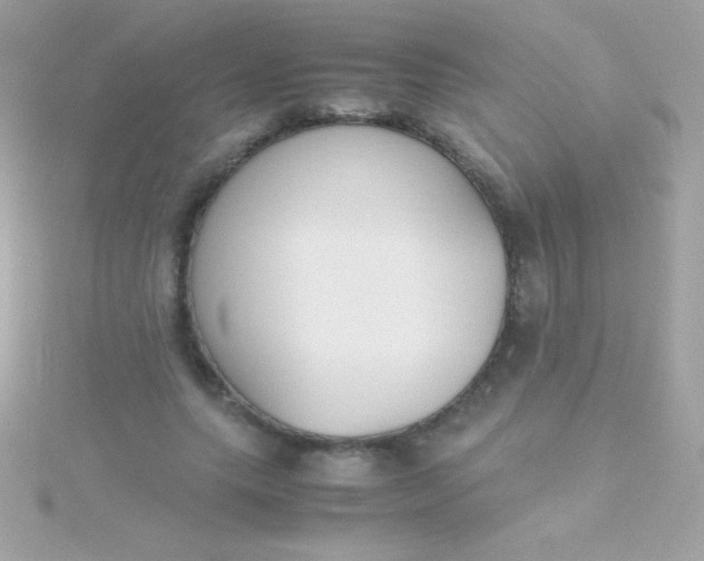 X0000115740639200911252000