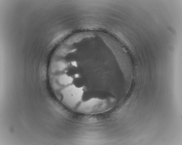 X0000115740640200911252000